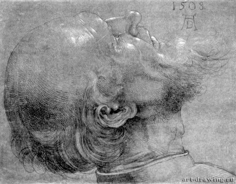 Этюд для Алтаря Геллера. Голова апостола. 1508 - 18,9 x 24,1 Рисунок кистью, подсветка белым, на грунтованной зеленым тоном бумаге Гравюрный кабинет Берлин