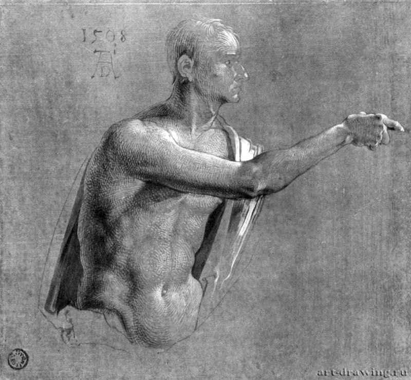 Этюд для Алтаря Геллера. Полуфигура Христа (верхняя часть фигуры). 1508 - 19,8 x 21,4 Рисунок кистью, подсветка белым, на грунтованной зеленым тоном бумаге Кунстхалле, Гравюрный кабинет Бремен