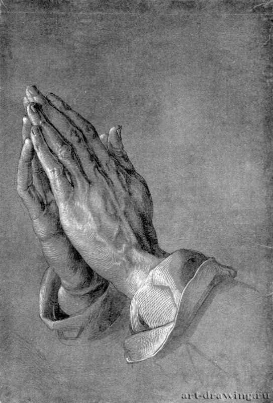Этюд для Алтаря Геллера. Руки апостола. 1508 - 29 x 19,7 Рисунок Кистью, подсветка белым, на грунтованной синим тоном бумаге Собрание графики Альбертина Вена