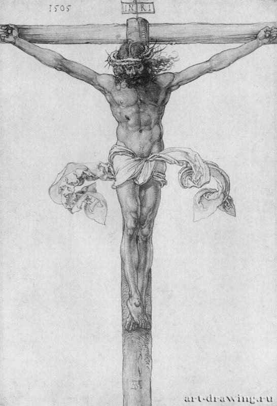 Этюд для Алтаря святого Фейта. Христос на кресте. 1505 - 31,5 x 21,5 Перо и кисть на бумаге Собрание графики Альбертина Вена