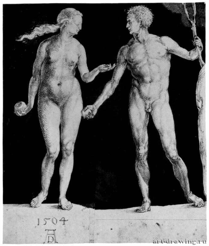 Адам и Ева. 1504 - 24,2 x 20,1 Перо и кисть черным тоном, на бумаге. Библиотека Пирпонта Моргана. Нью-Йорк.