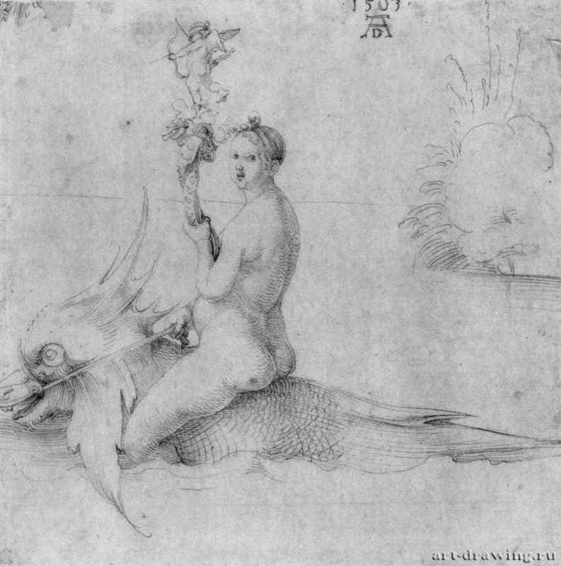 Венера на дельфине. 1503 - 21,5 x 21,2 Перо на бумаге Собрание графики Альбертина Вена