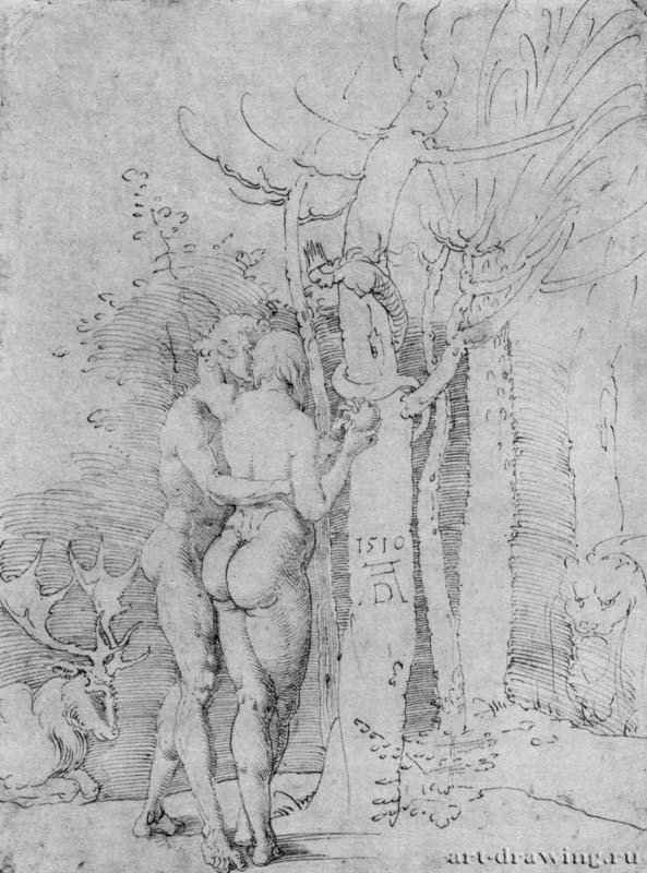 Адам и Ева. 1510 - 29,5 x 22 Перо на бумаге Собрание графики Альбертина Вена