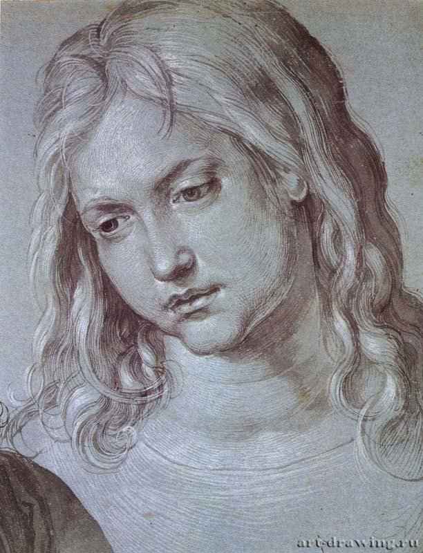 Голова двенадцатилетнего Христа. 1506 - 27,5 х 21,1 Кисть, подсветка белым, на голубой венецианской бумаге Собрание графики Альбертина Вена