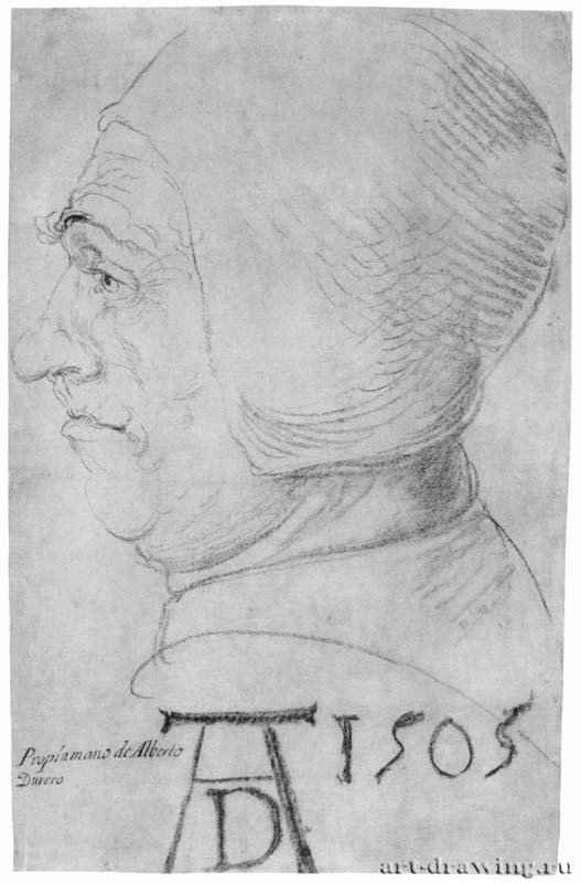 Голова старика в профиль. 1505 - 29,7 x 18,6 Уголь на бумаге Британский музей, Отдел гравюры и рисунка Лондон