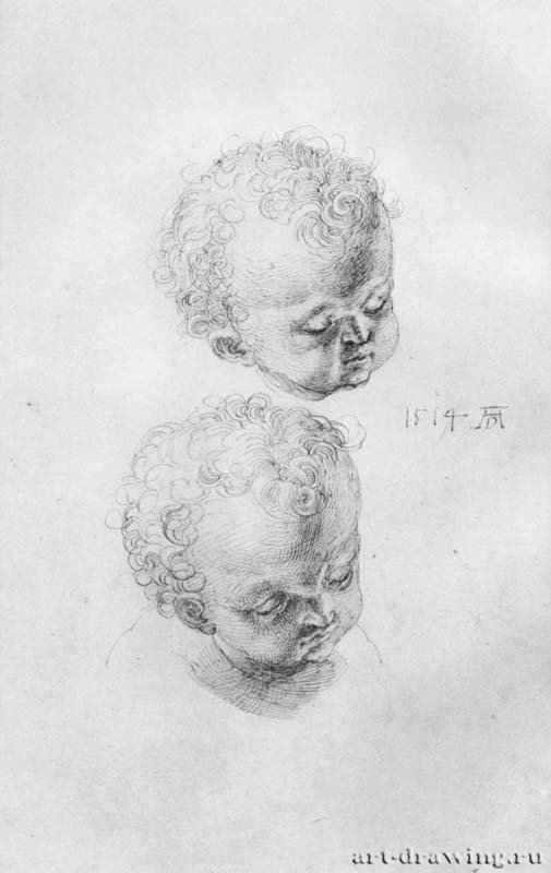 Лист с этюдами детских голов. 1514 - 27,5 x 17,2 Перо на бумаге Британский музей, Отдел гравюры и рисунка Лондон