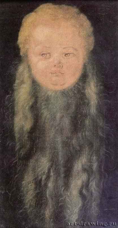 Голова бородатого младенца - 152752,5 x 27,8 смХолстВозрождениеГерманияПариж. Лувр