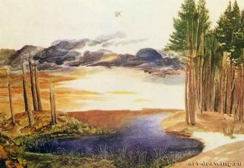 Лесной пруд - 1495 *АкварельВозрождениеГерманияЛондон. Британский музей