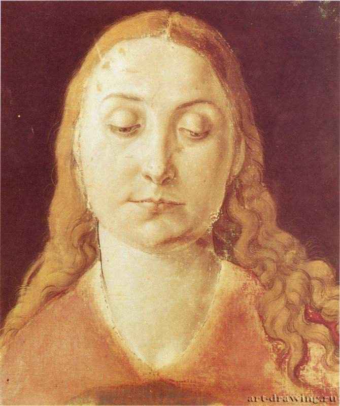 Голова Марии - 150325,5 x 21,5 смХолст, акварельВозрождениеГерманияПариж. Национальная библиотека