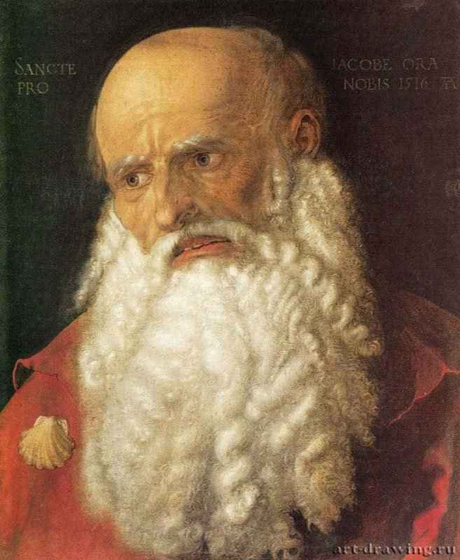 Апостол Иаков - 151646 x 38 смХолстВозрождениеГерманияФлоренция. Галерея Уффици