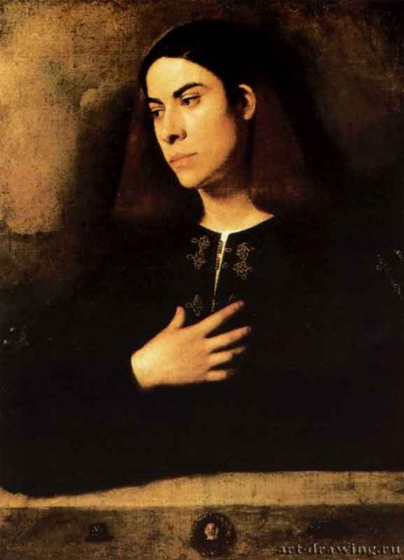 Портрет юноши (Портрет Антонио Брокардо). 1503 - 72,5 x 54 см. Холст. Будапешт. Венгерский музей изобразительных искусств.