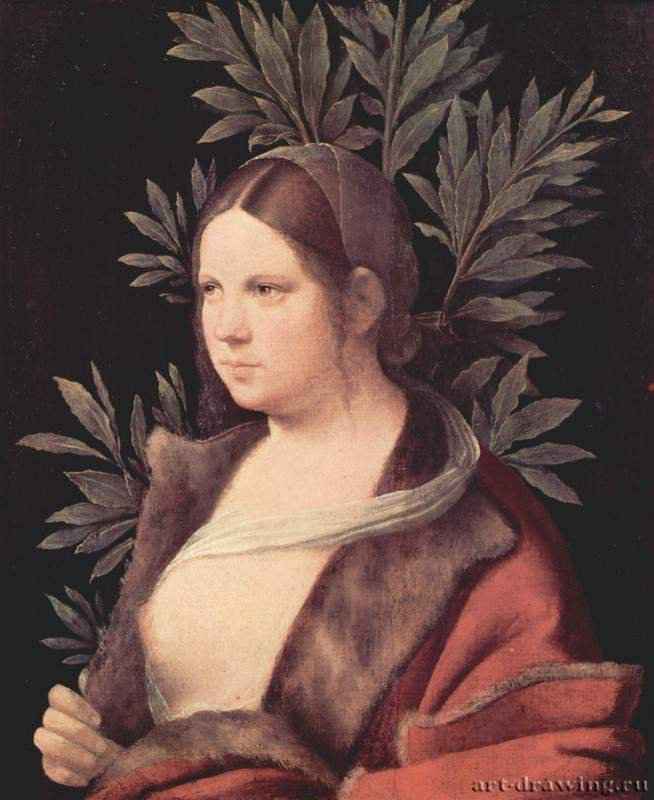 Лаура (портрет молодой женщины) - 1506 *41 x 33,6 смХолст, наклеенный на деревоВозрождениеИталияВена. Художественно-исторический музей