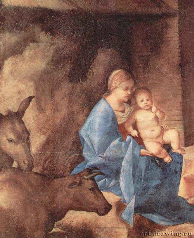 Поклонение волхвов. Фрагмент. Мария с младенцем, волом и ослом - 1500-1510ДеревоВозрождениеИталияЛондон. Национальная галерея