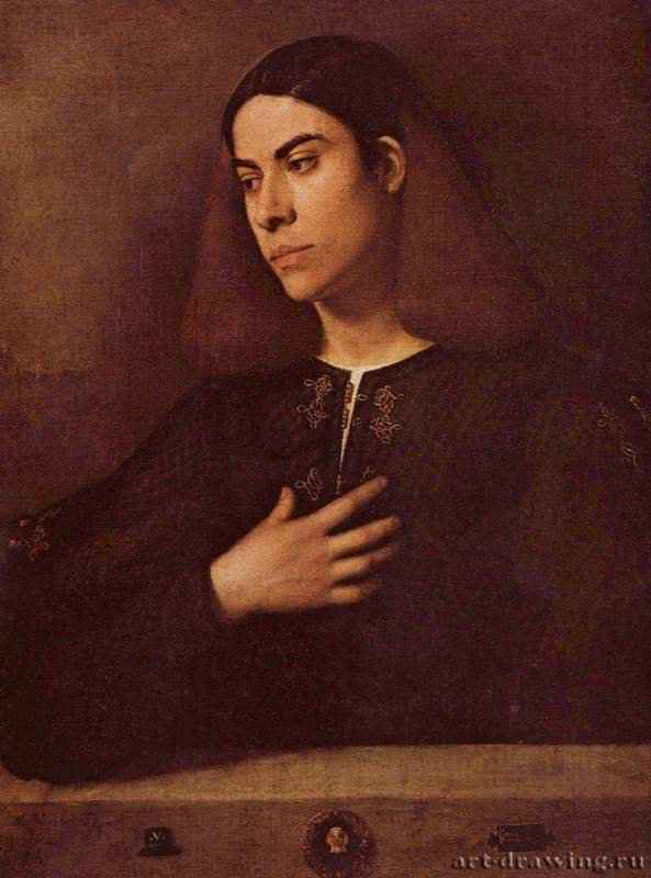 Портрет Антонио Броккардо - 1500-151073 x 54 смХолстВозрождениеИталияБудапешт. Венгерский музей изобразительных искусств