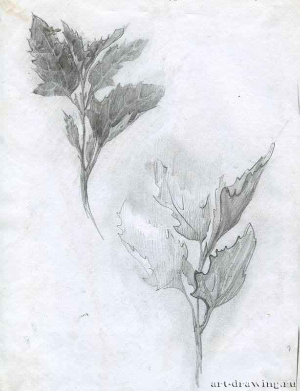 catherine-bibikova-img014