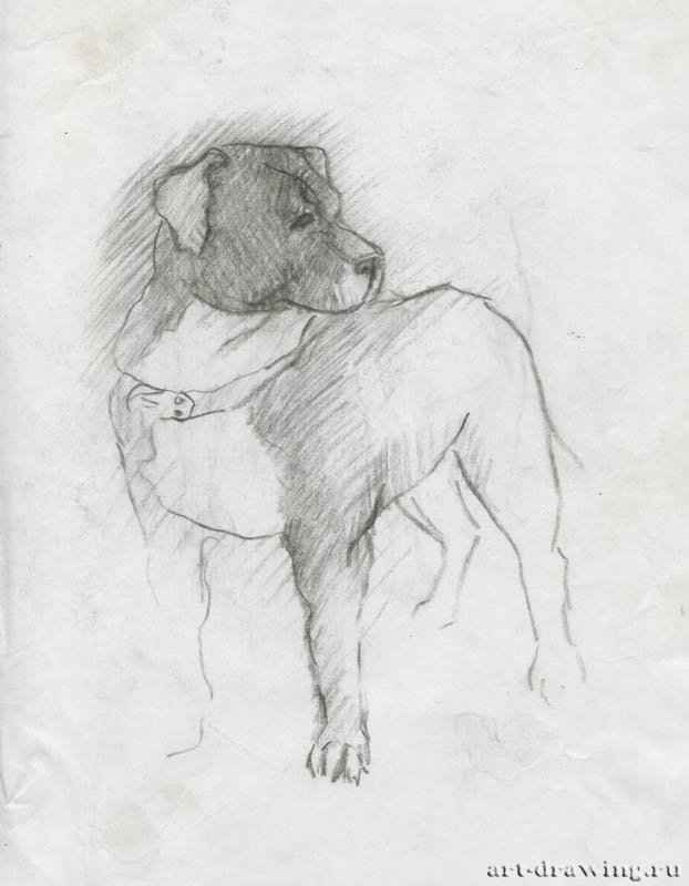 catherine-bibikova-img165