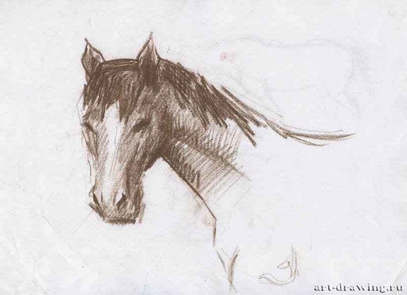 catherine-bibikova-img181