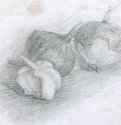 catherine-bibikova-img005/
