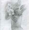 catherine-bibikova-img016