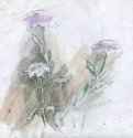 catherine-bibikova-img017