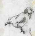 catherine-bibikova-img088