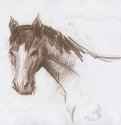 catherine-bibikova-img181